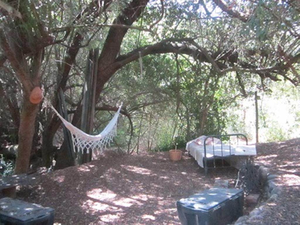 Cabana De Adobe En Lago Rapel Room photo